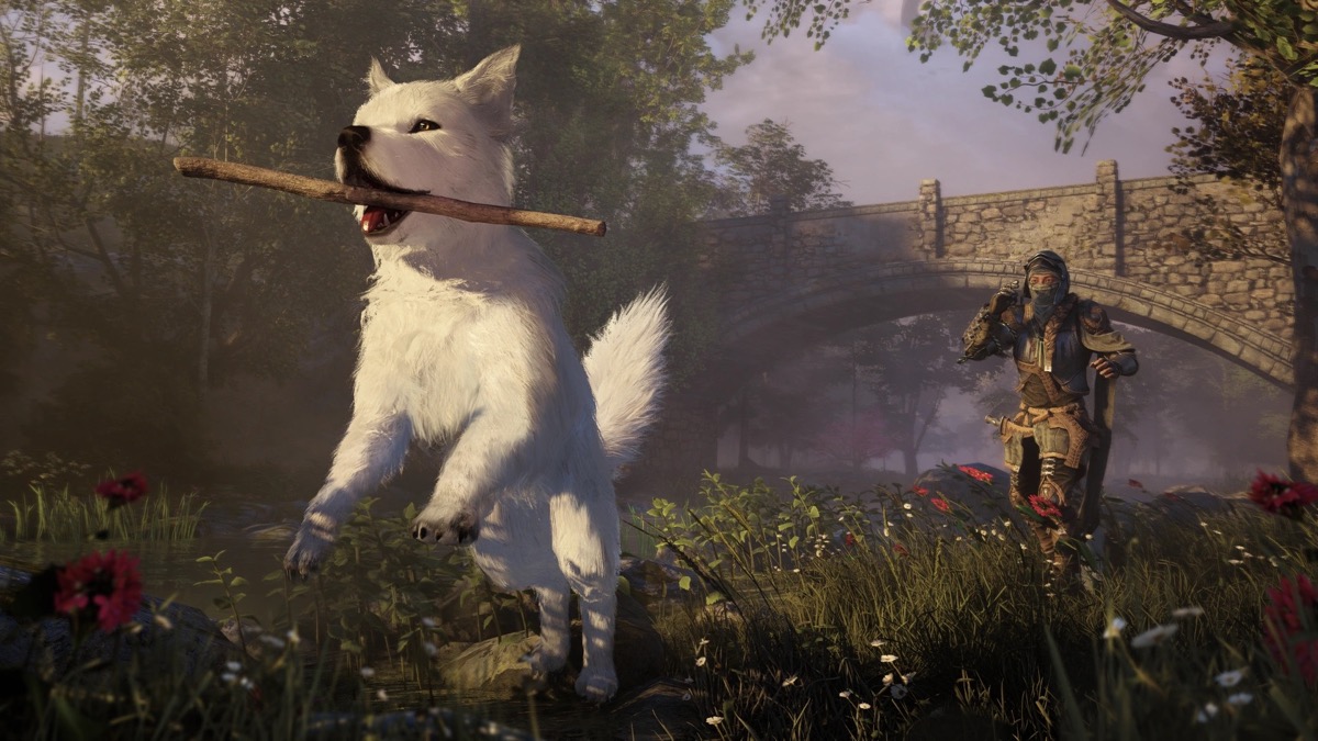 Official Soulframe Preludes screenshot showing the atmosphere of the current public test